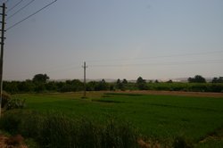 View from the Nile road