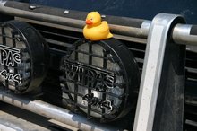 Have you seen this duck? $1,000 reward for safe return.