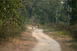 Maz cycling round the Royal Chitwan National Park