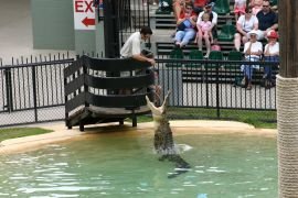 Crocodile show at Australia Zoo