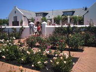 The sweet smalling rose garden of Voyager wine estate