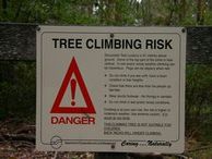 Tree Risk..!?!?!