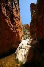 Standley Chasm in the midday sun