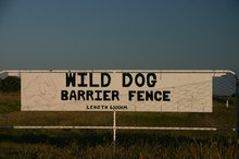 The world's longest fence