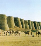 The Cholistan Desert